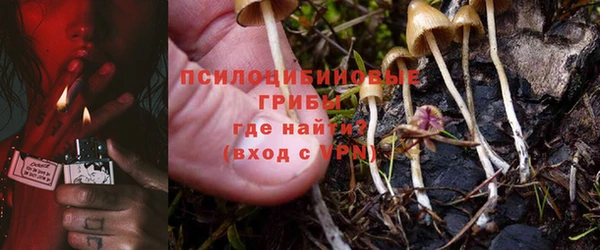 бошки Заволжье