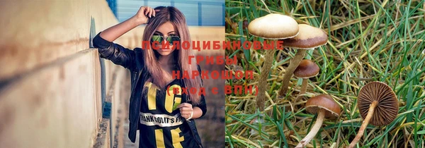 бошки Заволжье