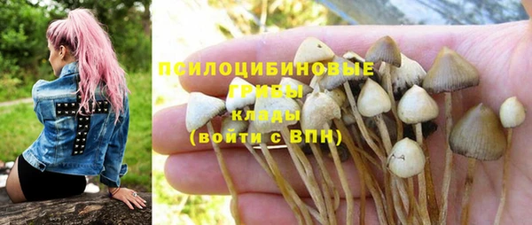 стафф Заволжск