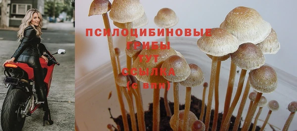 стафф Заволжск