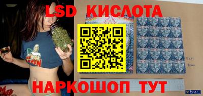 гидра Братск