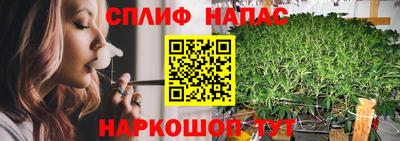 гидра Братск