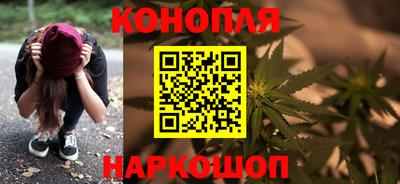 гидра Братск