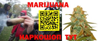 гидра Братск