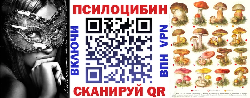 Псилоцибиновые грибы прущие грибы  Карабулак 