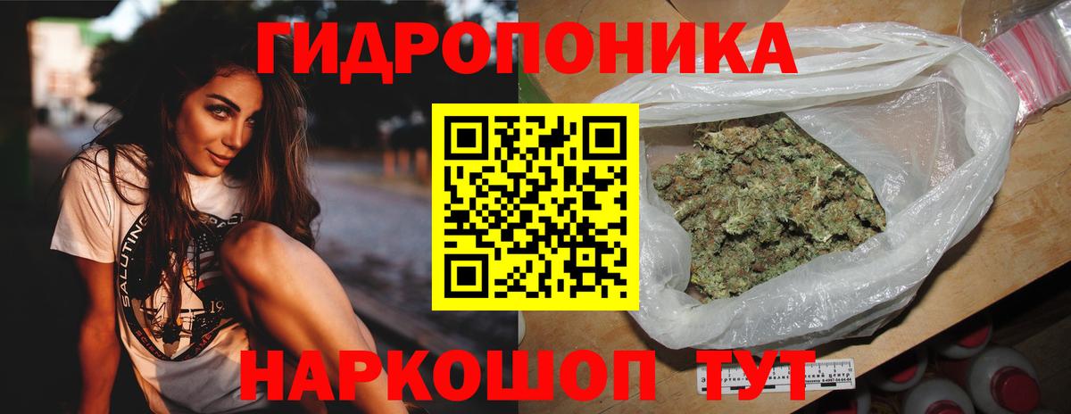 Марихуана Ganja  Вход с VPN  Марихуана конопля  Карабулак  Каннабис сатива 